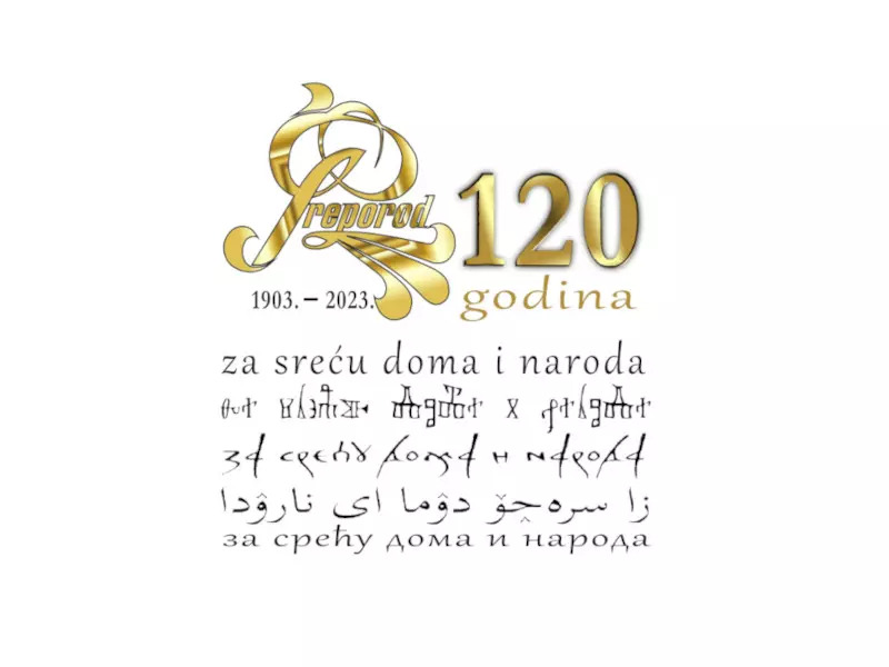 Elmira Zukić - SREBRENIK – DUG HOD POVIJESTI (1333. – 2023.)